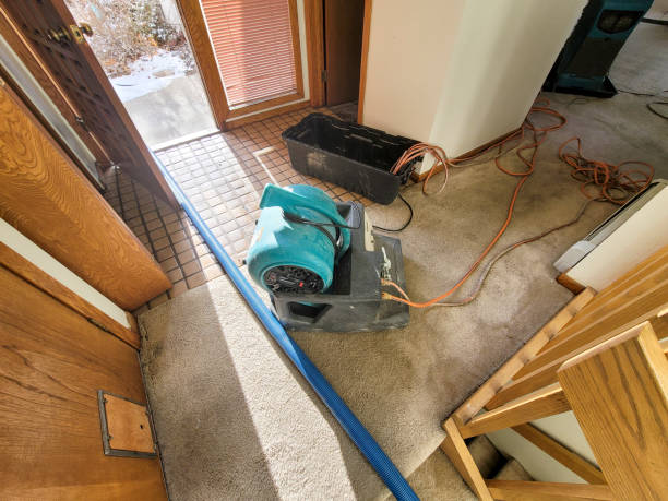 Professional Water damage restoration in Del Rio, TX