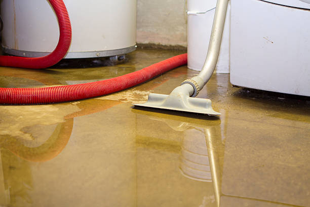 Best Professional water damage repair  in Del Rio, TX