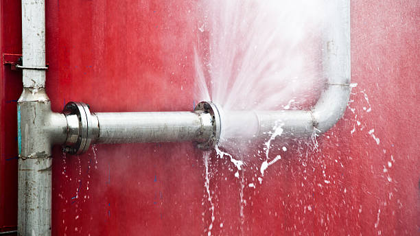 Best Mold removal after water damage  in Del Rio, TX